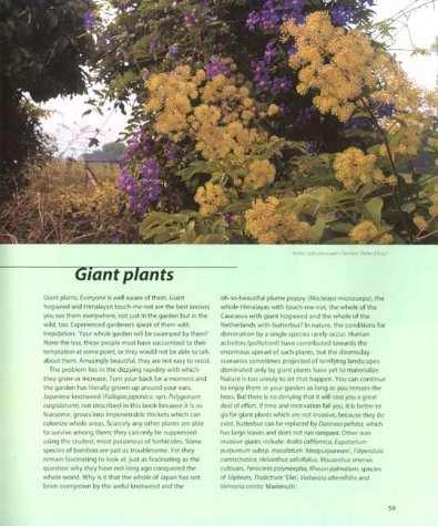Dream Plants For The Natural Garden