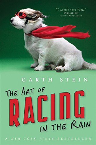 Art Of Racing In The Rain,Used