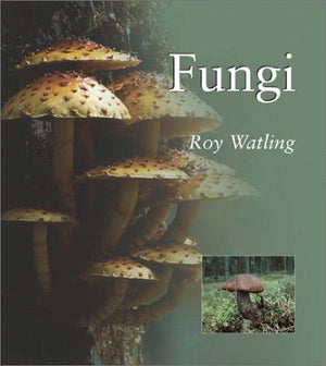 Fungi (Natural World Series),Used