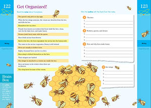 Brain Quest Workbook: Grade 5,Used