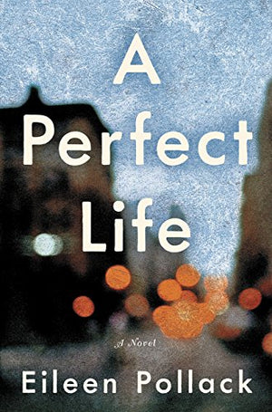 A Perfect Life: A Novel,Used