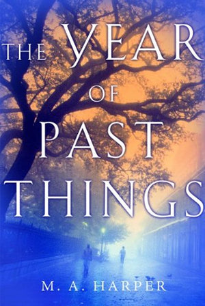 The Year of Past Things,Used