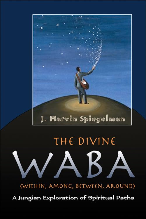 Divine Waba (Within, Among, Between and Around): A Jungian Exploration of Spiritual Paths (The Jung on the Hudson Book series),Used