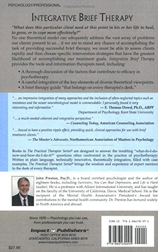 Integrative Brief Therapy: Cognitive, Psychodynamic, Humanistic And Neurobehavioral Approaches (Practical Therapist Series)