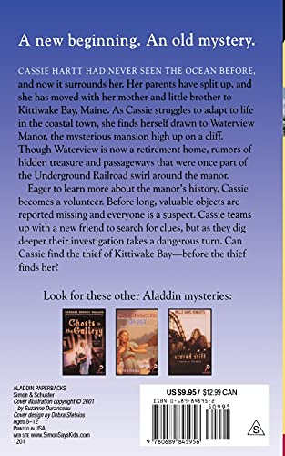 Mystery at Kittiwake Bay (Aladdin Mystery),Used
