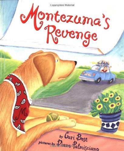 Montezuma'S Revenge,Used