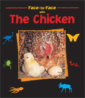 Facetoface With the Chicken,Used