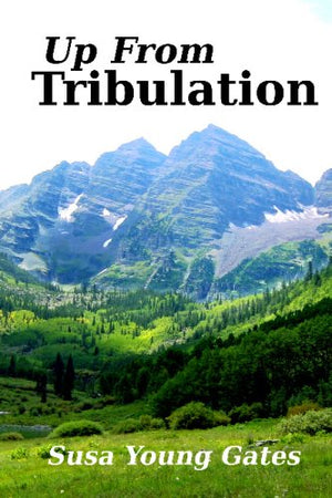 Up From Tribulation,Used