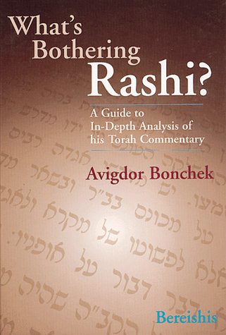 What's Bothering Rashi?  Bereishis (What's Bothering Rashi Series),Used