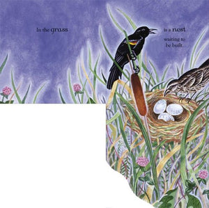In the Fiddle Is a Song: A LifttheFlap Book of Hidden Potential,Used
