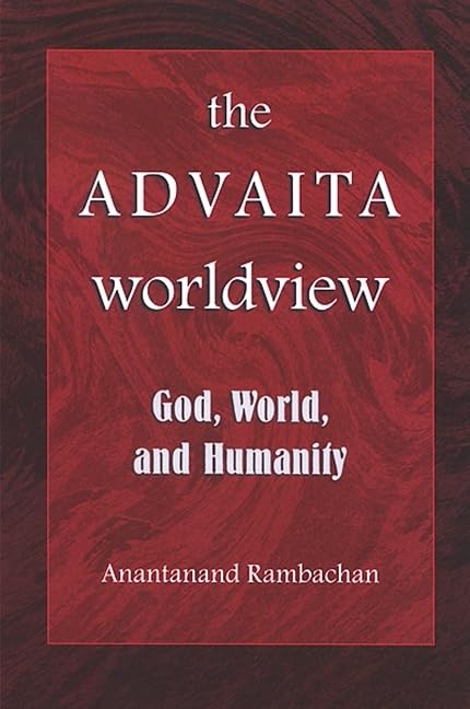 The Advaita Worldview: God, World, And Humanity (SUNY Series in Religious Studies),Used