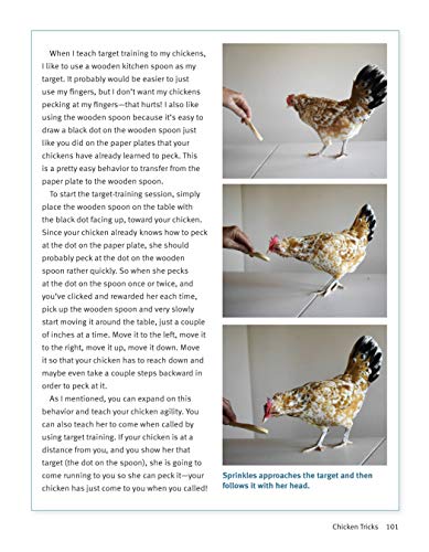 Click With Your Chick: A Complete Chicken Training Course Using The Clicker (Companionhouse) Train Hens To Come When Called, Per
