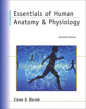 Essentials of Human Anatomy & Physiology (7th Edition),Used