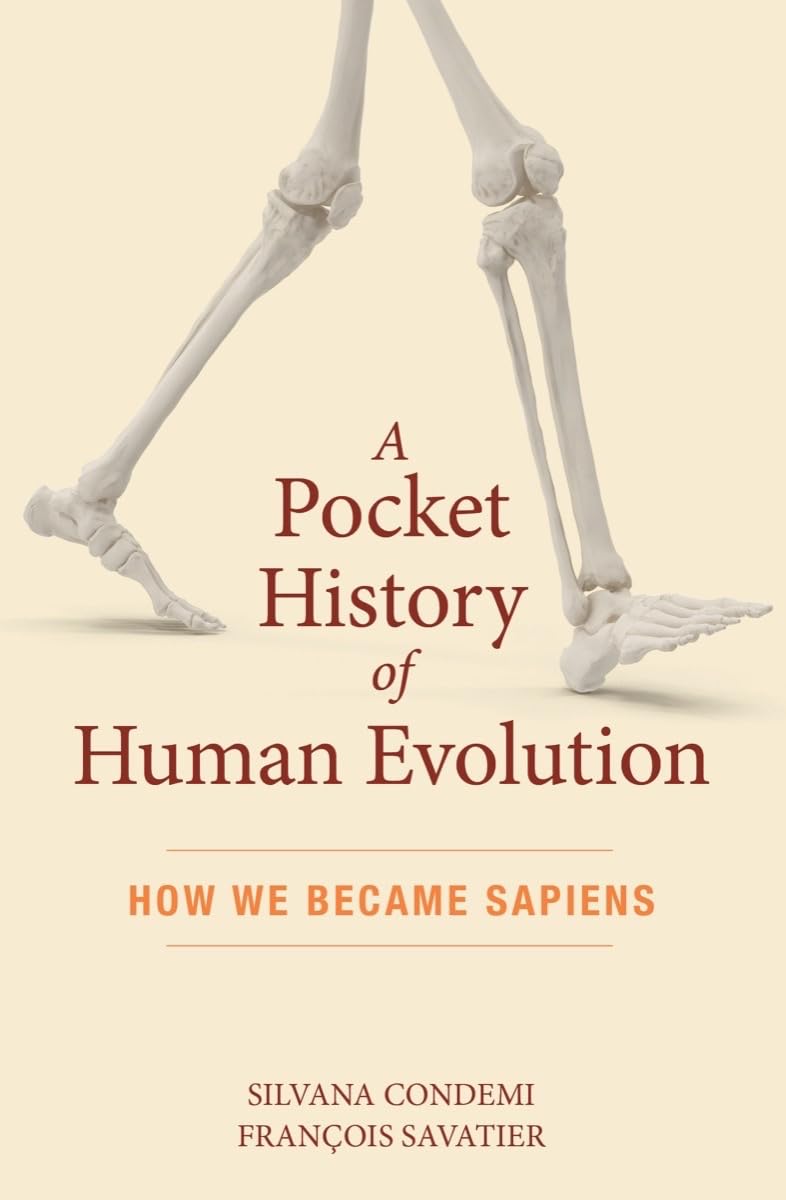 A Pocket History of Human Evolution: How We Became Sapiens,New