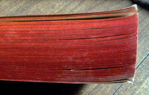 How I Found Freedom in an Unfree World,Used