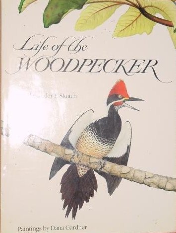 Life Of The Woodpecker,New