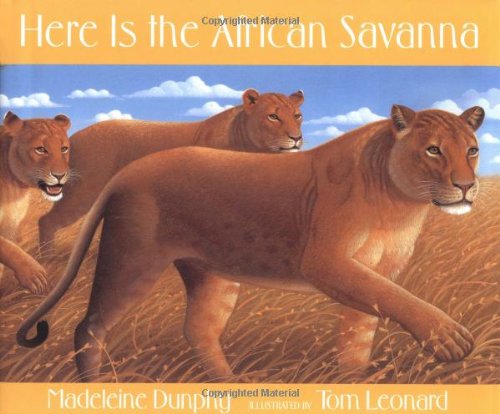 Here is the African Savanna,Used
