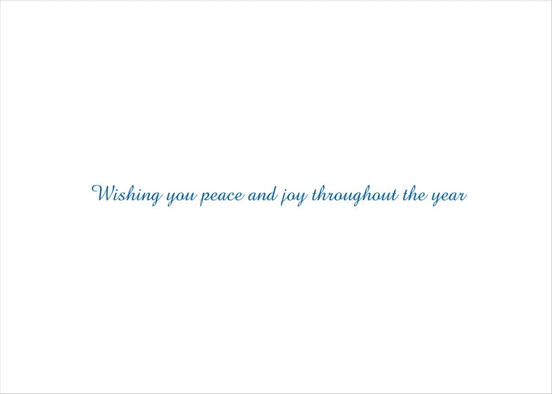 White Birches Holiday Boxed Cards (Christmas Cards, Holiday Cards, Greeting Cards) (Deluxe Boxed Holiday Cards),Used