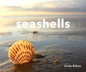 Seashells,Used