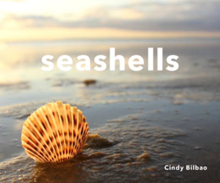 Seashells,Used
