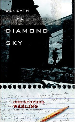 Beneath the Diamond Sky,Used