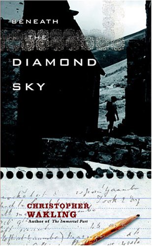 Beneath the Diamond Sky,Used