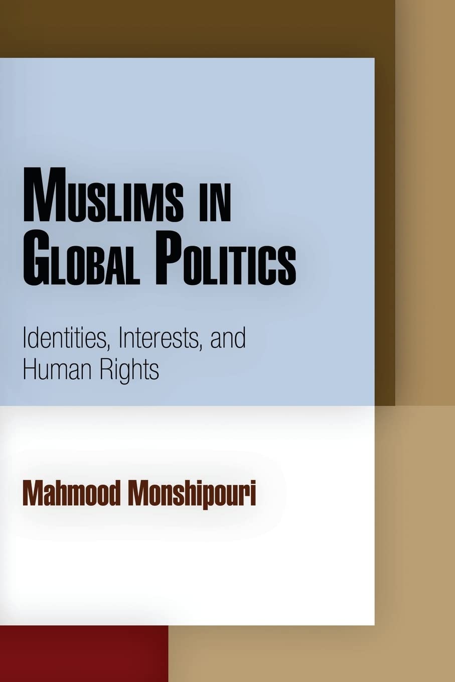 Muslims In Global Politics: Identities, Interests, And Human Rights (Pennsylvania Studies In Human Rights),Used