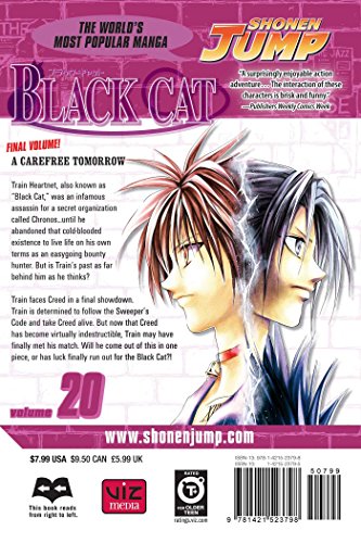 Black Cat, Vol. 20,Used