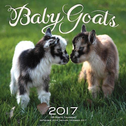Baby Goats 2017: 16Month Calendar September 2016 Through December 2017