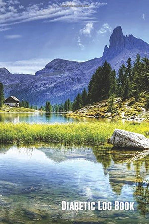 Diabetic Log Book: (Landscape) Compact 4