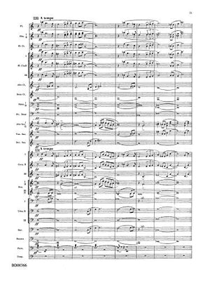 Rhythm of the Winds (Belwin Symphonic Band),Used