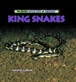 King Snakes (The Really Wild Life of Snakes),Used