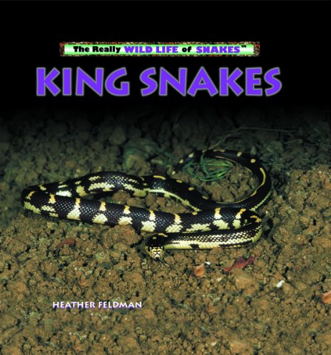 King Snakes (The Really Wild Life of Snakes),Used