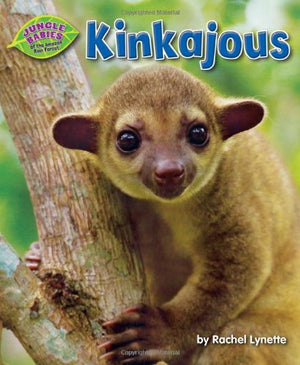Kinkajous (Jungle Babies of the Amazon Rain Forest),Used