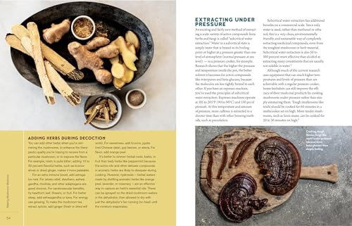 Christopher Hobbs's Medicinal Mushrooms: The Essential Guide: Boost Immunity, Improve Memory, Fight Cancer, Stop Infection, and ,Used