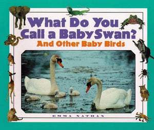 What Do You Call a Baby  Swan? And Other Baby Birds,Used