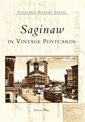 Saginaw In Vintage Postcards (MI) (Postcard History Series),Used