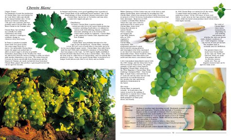 Wines and Brandies of the Cape of Good Hope: The Definitive Guide to the South African Wine Industry,Used