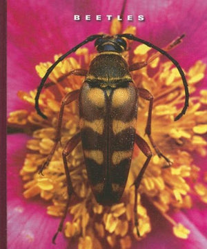 Beetles (The World of Insects)