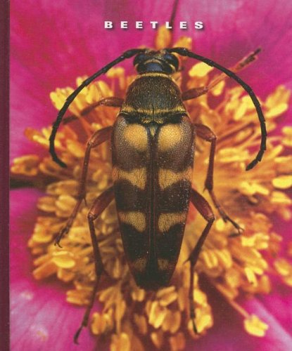 Beetles (The World of Insects)