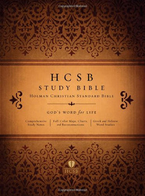 HCSB Study Bible, Black/Gray LeatherTouch