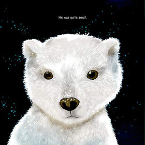 The Lonely Polar Bear (Happy Fox Books) A Subtle Way to Introduce Young Kids to Climate Change Issues; Beautifully Illustrated C,Used