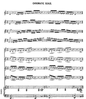 Bel Canto: A Theoretical and Practical Vocal Method (Dover Books On Music: Voice),New