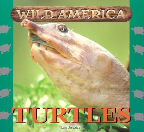 Wild America  Turtles,Used