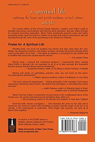 A Spiritual Life: Exploring the Heart and Jewish Tradition (S U N Y Series in Modern Jewish Literature and Culture) (Suny Modern,Used