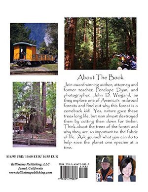 The Comeback Kids, Book 12, the Redwood Forest,Used