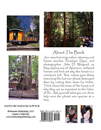 The Comeback Kids, Book 12, the Redwood Forest,Used