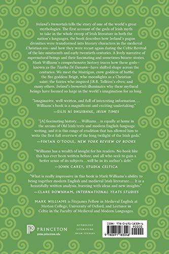 Ireland'S Immortals: A History Of The Gods Of Irish Myth