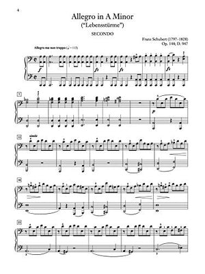 Schubert  Allegro in A Minor, Op. 144 (Lebensstrme