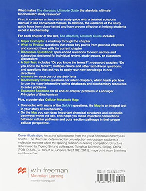 Absolute, Ultimate Guide to Principles of Biochemistry Study Guide and Solutions Manual,Used